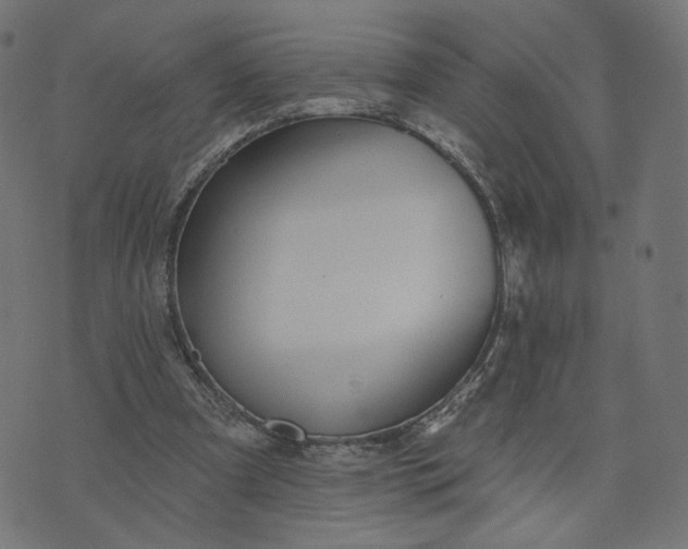 X0000070360297200606231629