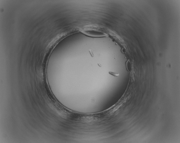 X0000070360298200606231629