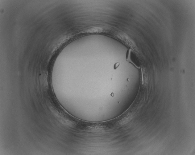 X0000070360300200606231629