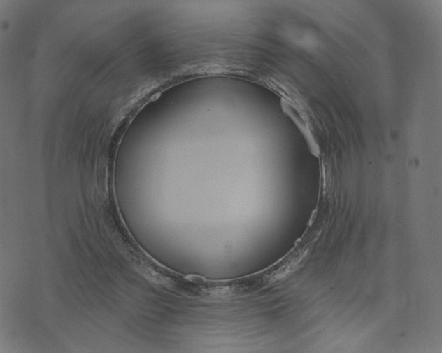 X0000070360301200606231629