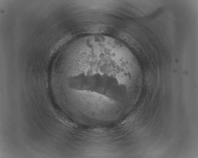 X0000070360303200606231629