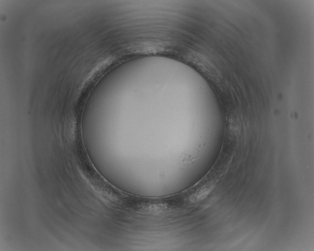 X0000070360304200606231629