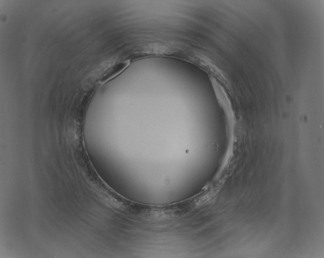 X0000070360305200606231629