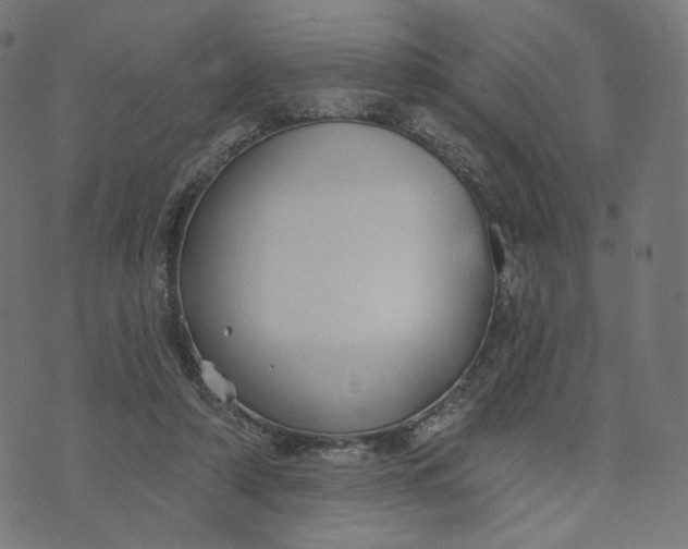 X0000070360306200606231629