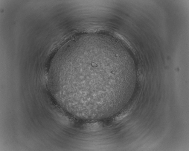 X0000070360307200606231629