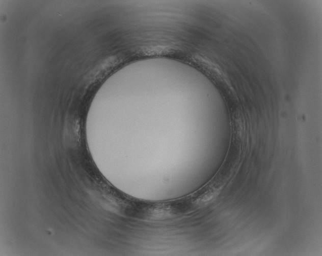 X0000070360308200606231629