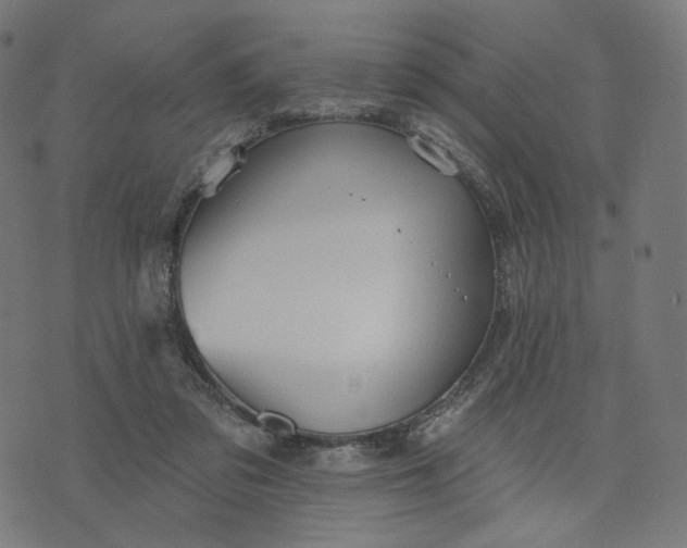 X0000070360309200606231629