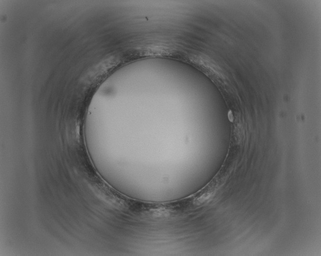 X0000070360310200606231629