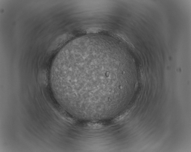 X0000070360311200606231629