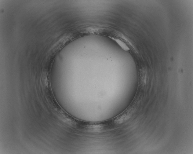 X0000070360313200606231629