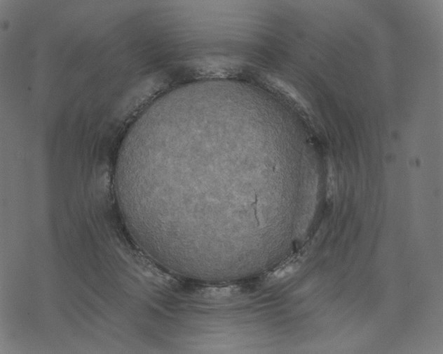 X0000070360314200606231629