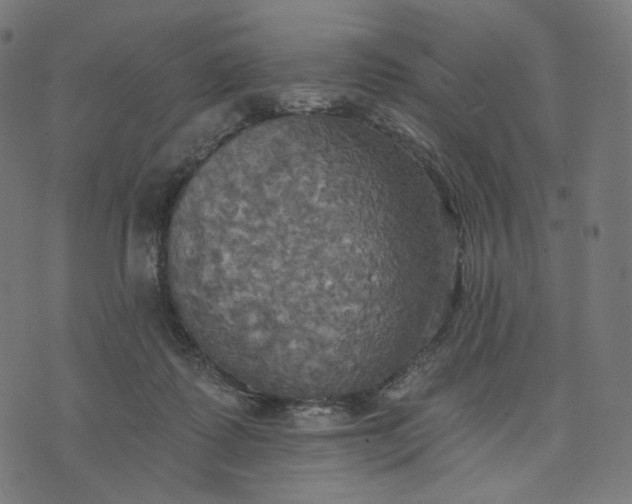 X0000070360315200606231629