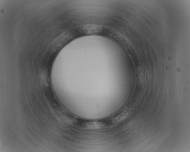 X0000070360316200606231629