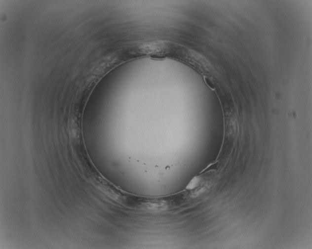 X0000070360317200606231629