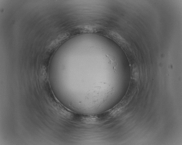 X0000070360318200606231629