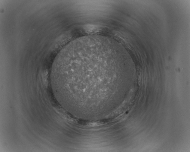 X0000070360319200606231629