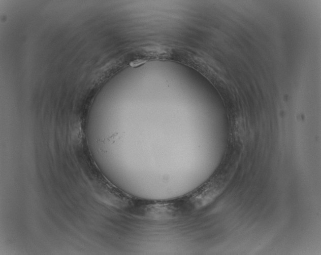 X0000070360320200606231629