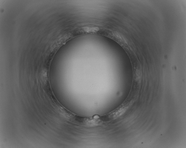 X0000070360321200606231629