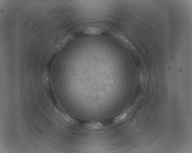 X0000070360322200606231629