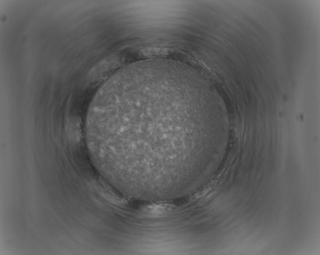 X0000070360323200606231629