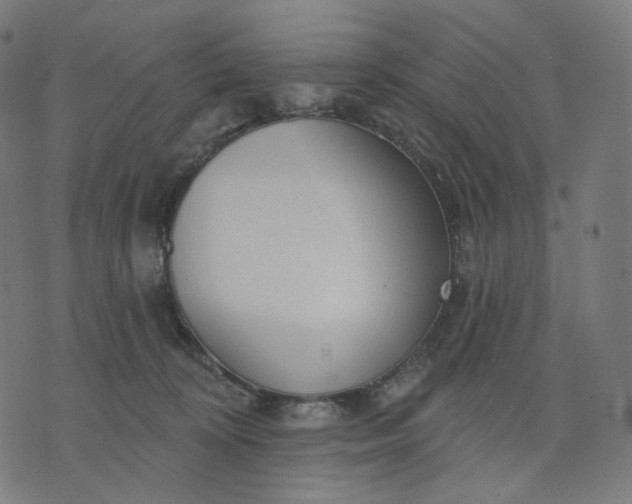 X0000070360324200606231629