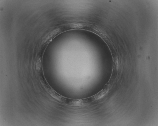 X0000070360325200606231629