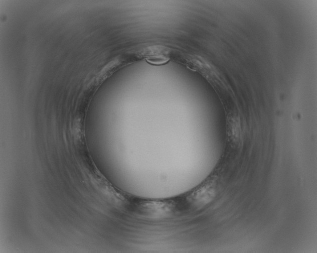 X0000070360326200606231629