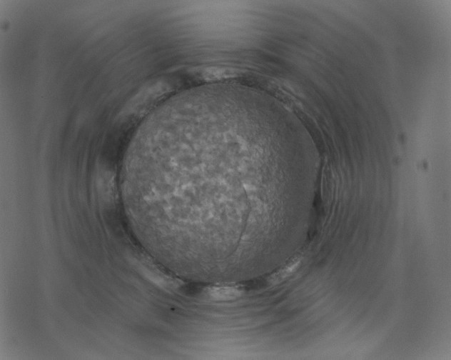 X0000070360327200606231629