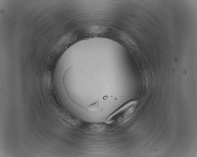 X0000070360328200606231629