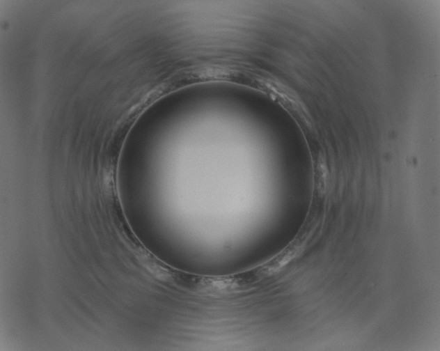 X0000070360329200606231629