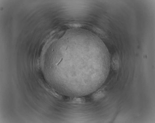 X0000070360330200606231628