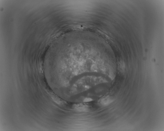 X0000070360331200606231628