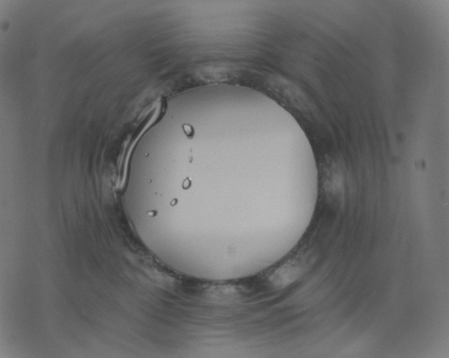 X0000070360332200606231628