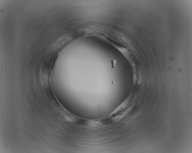 X0000070360333200606231628