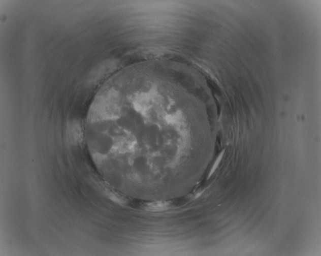 X0000070360335200606231628