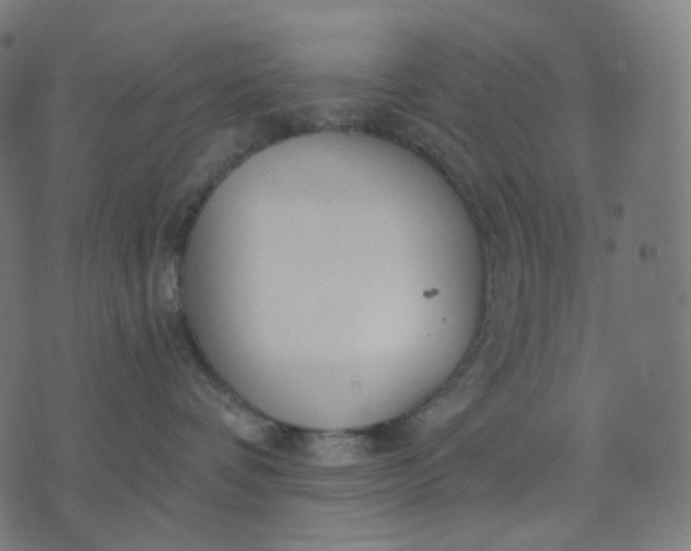 X0000070360336200606231628