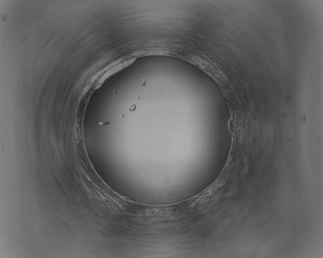 X0000070360338200606231628