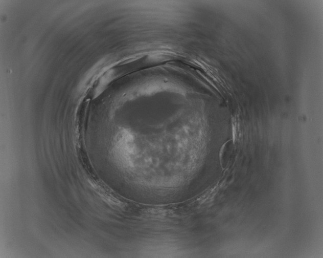 X0000070360339200606231628