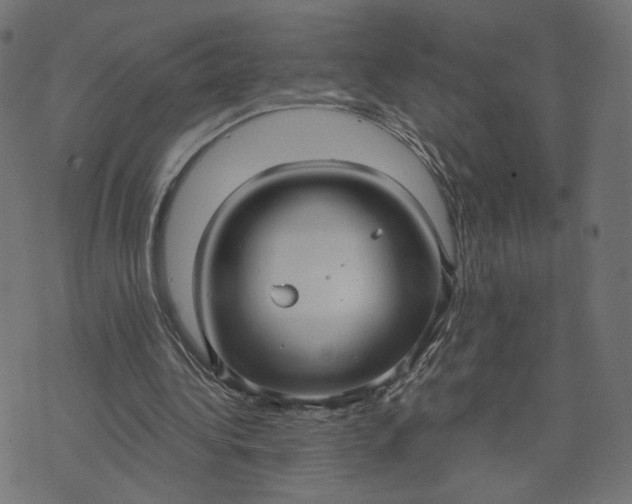 X0000070360340200606231628