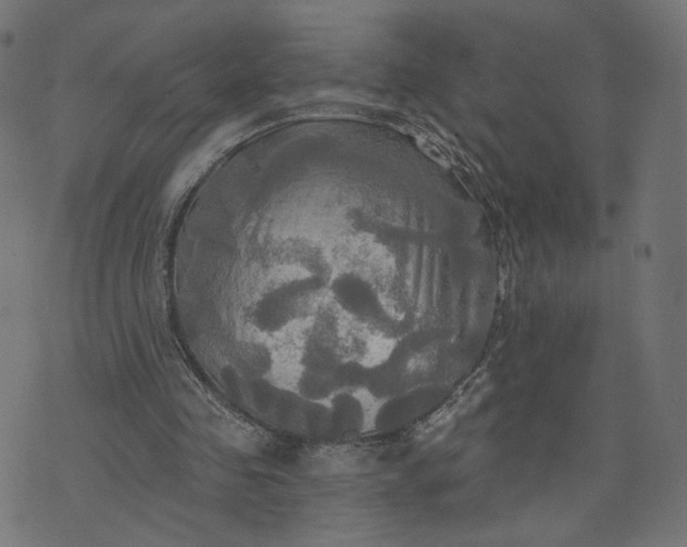 X0000070360341200606231628