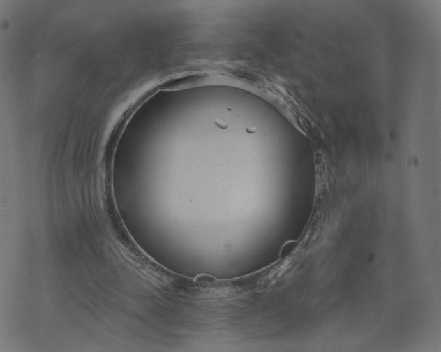 X0000070360342200606231628