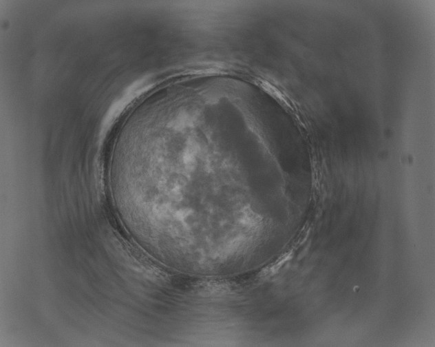 X0000070360343200606231628