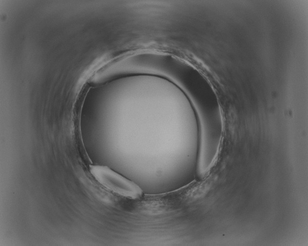 X0000070360344200606231628