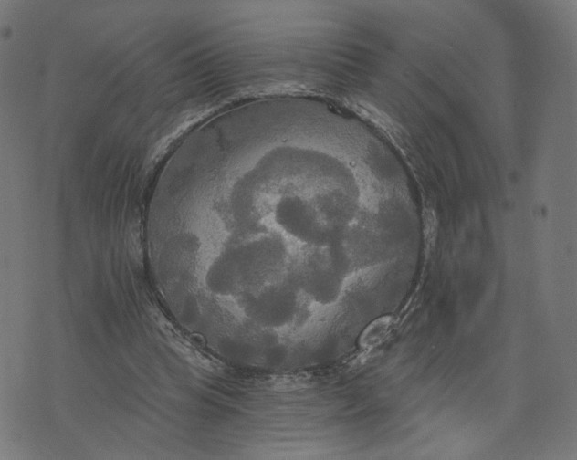 X0000070360345200606231628