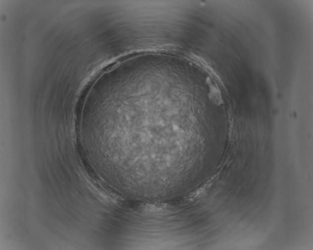 X0000070360346200606231628