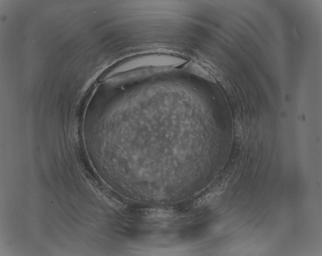 X0000070360347200606231628