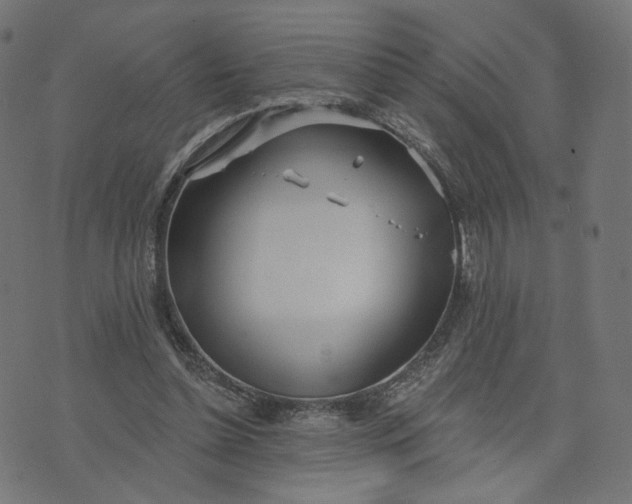 X0000070360348200606231628