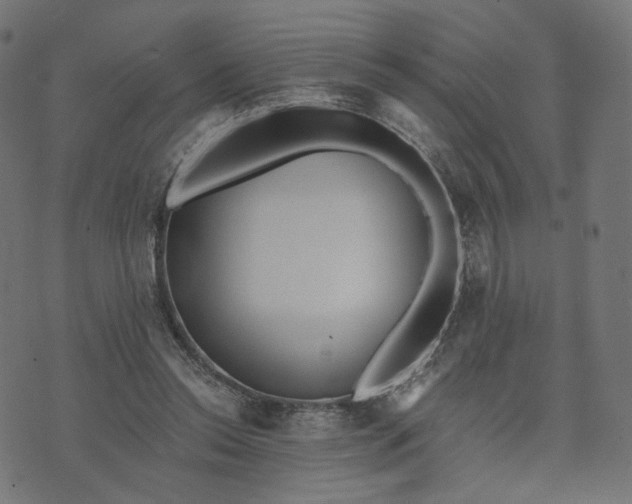 X0000070360350200606231628