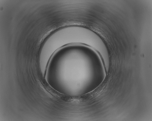 X0000070360352200606231628