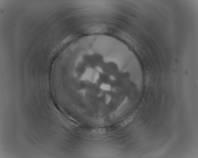 X0000070360353200606231628